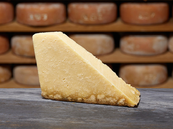 TRADITION SALERS AOP