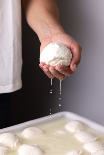 MOZZARELLA DI BUFALA DOP | Mons Fromager Affineur MOF