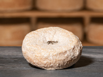 TOMME DE PEBRE D'AI | Mons Fromager Affineur MOF