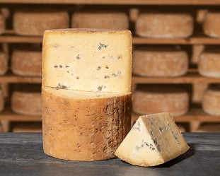FOURME DE MONTBRISON Lait Cru BIO AOP | Mons Fromager