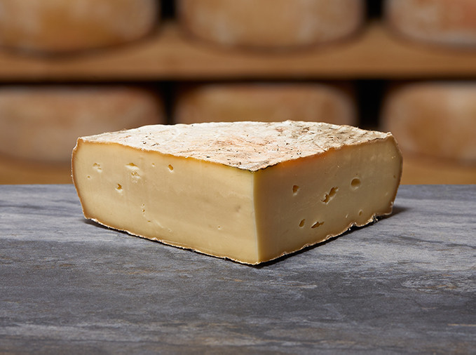 SAINT NECTAIRE Fermier Grand Classique AOP SAINT NECTAIRE Fermier Grand Classique AOP