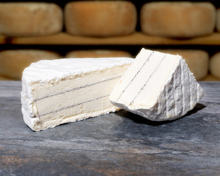 LES TRUFFIERS | Mons Fromager Affineur MOF LES TRUFFIERS | Mons Fromager Affineur MOF