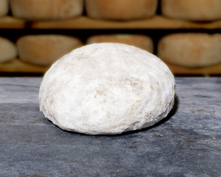 GAPERON FERMIER GAPERON FERMIER