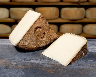 TRADITION SALERS AOP