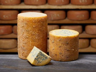 FOURME DE MONTBRISON Lait Cru BIO AOP FOURME DE MONTBRISON Lait Cru BIO AOP