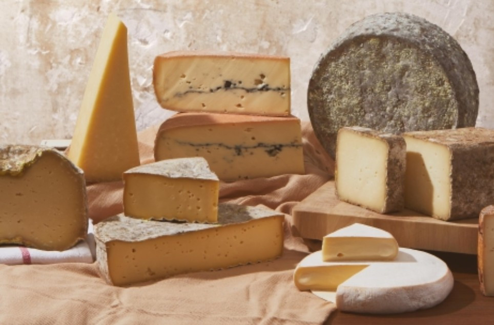 How well do you know each cheese family?