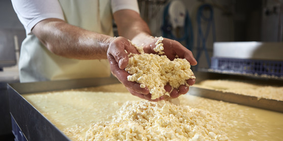 La Laiterie de la Côte Roannaise